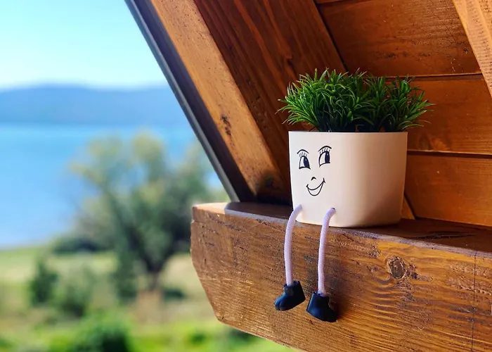 House Beliz 利夫诺