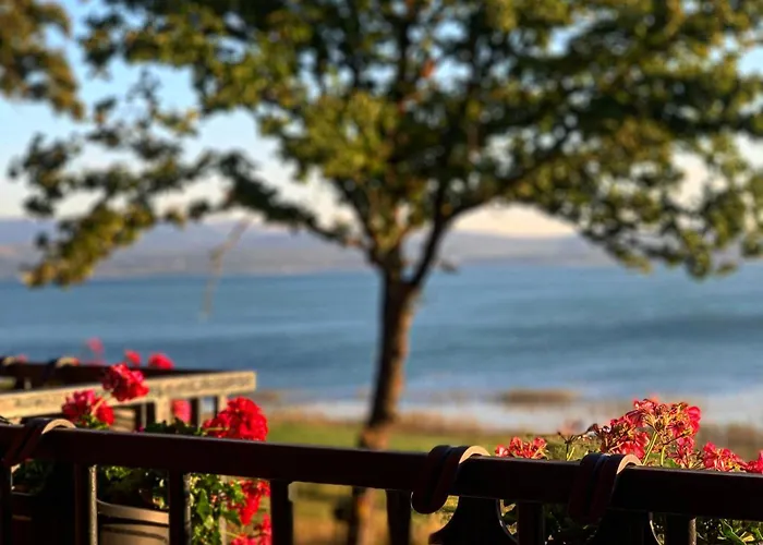 House Beliz 度假居