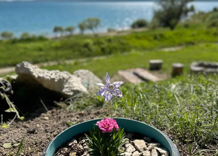 House Beliz 度假居